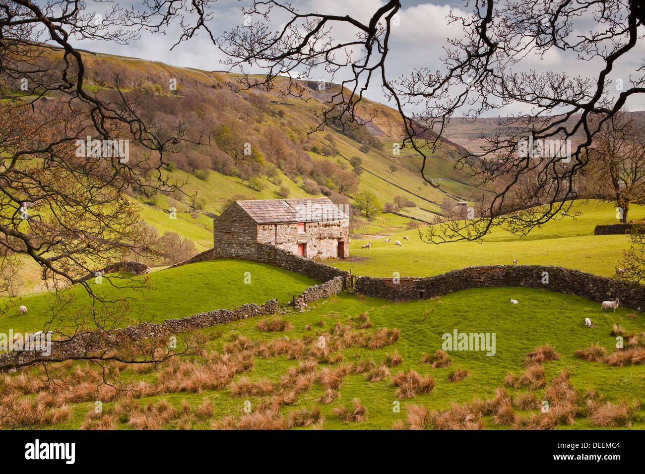 Stein-Scheune im Bereich Swaledale der Yorkshire Dales National Park, Yorkshire, England, Vereinigtes Königreich, Europa Stockfoto