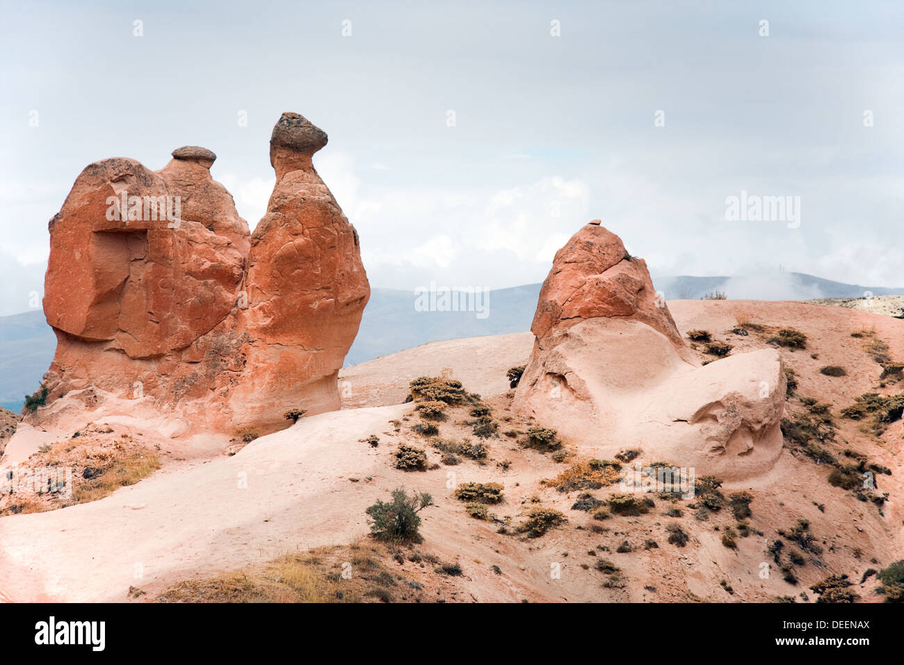 Cappadocia - Türkei - der bekannte Kamel Felsformation Stockfoto