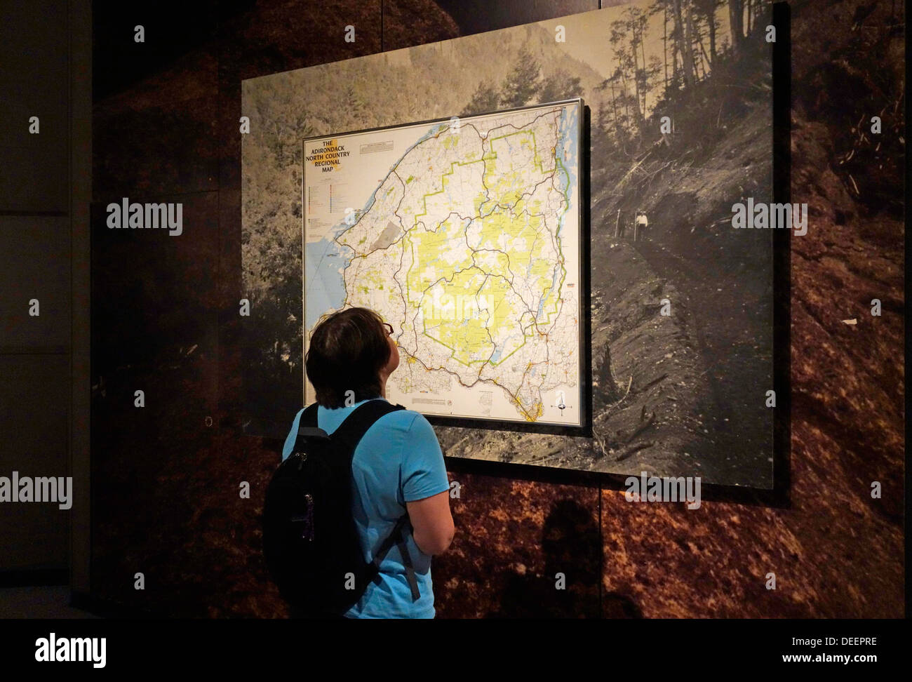 New York State Museum Albany Stockfoto