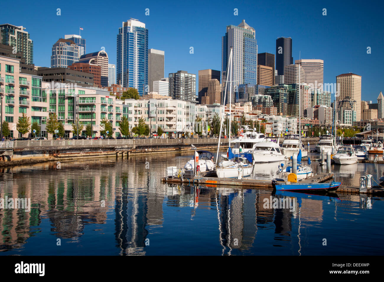 Gebäude der Innenstadt von Seattle ragen Bell Harbor Marina auf dem Puget Sound, Seattle, Washington, USA Stockfoto