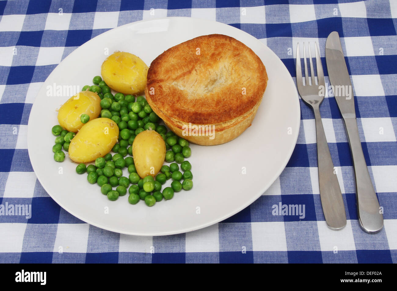 Fleischpastete und Gemüse auf einem Teller legen Sie auf einer Tischdecke blau kariert Stockfoto