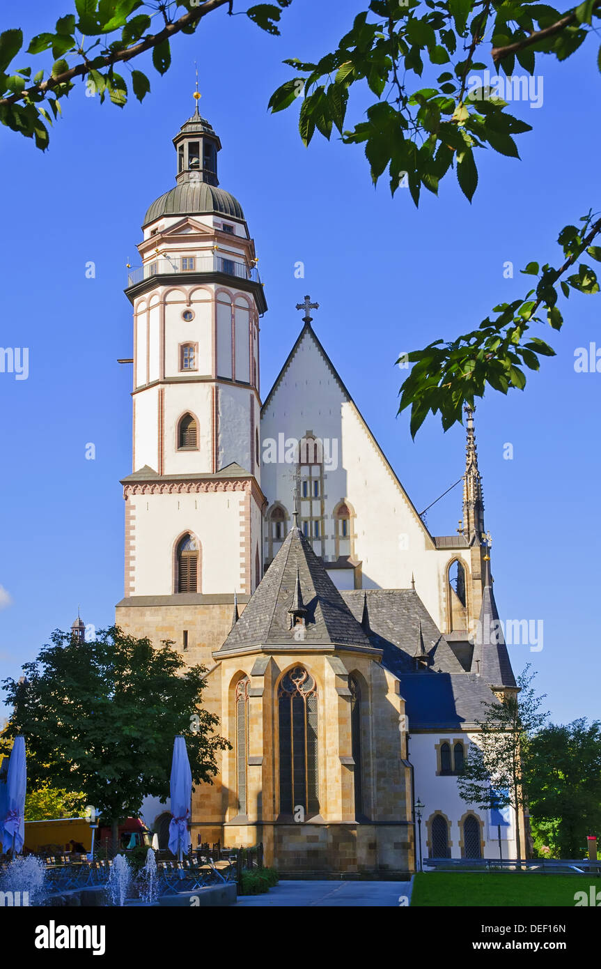 Thomaskirche (Kirche) in Leipzig an einem schönen sonnigen Tag Stockfoto