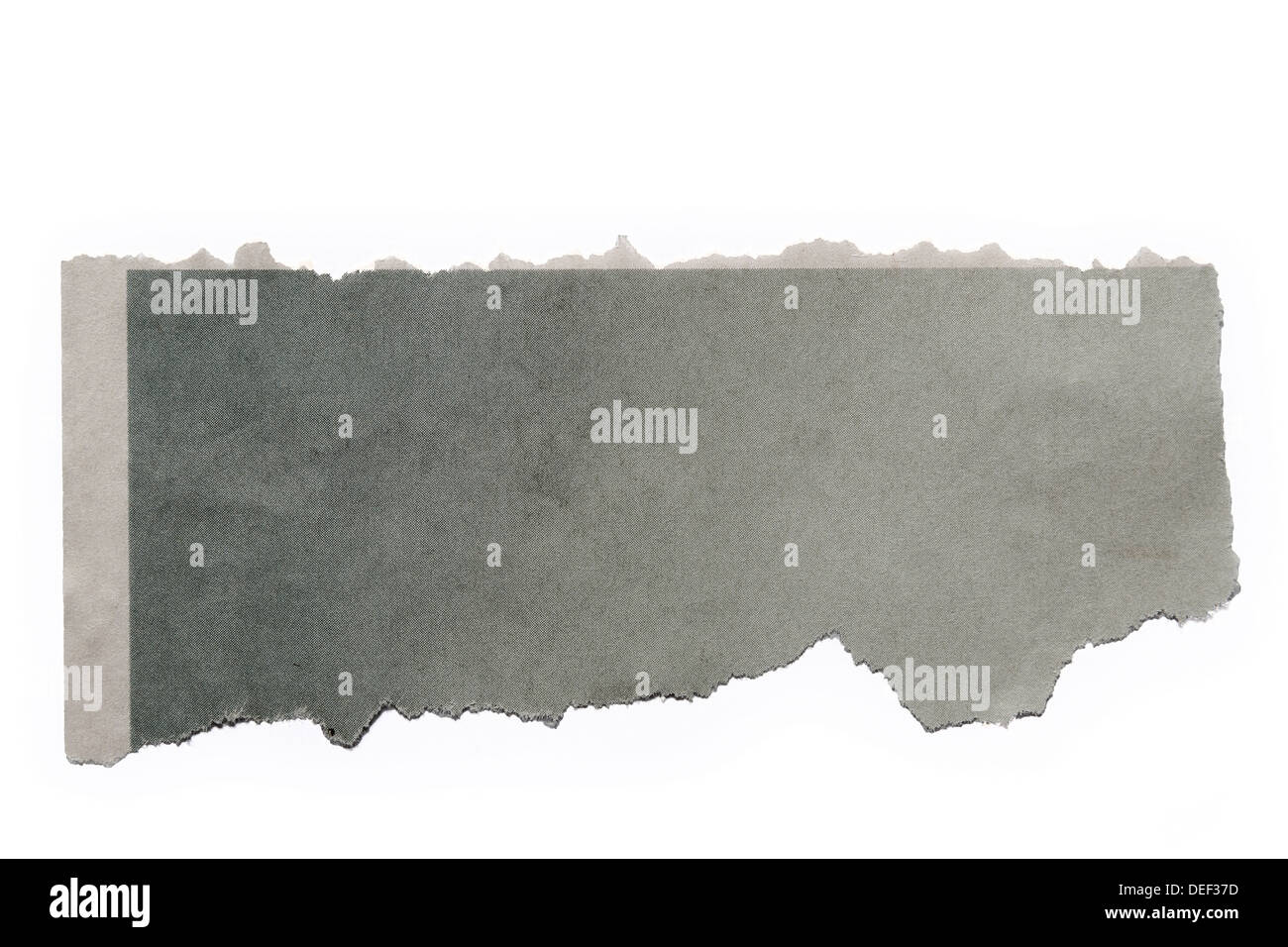 Stück zerrissenes Papier auf einfarbigen Hintergrund. Textfreiraum Stockfoto