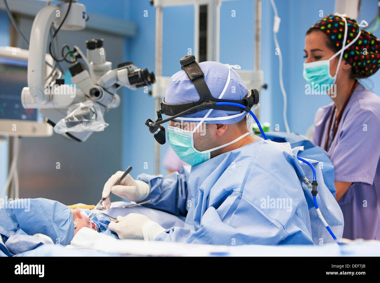 Menschliche polypen -Fotos und -Bildmaterial in hoher Auflösung – Alamy