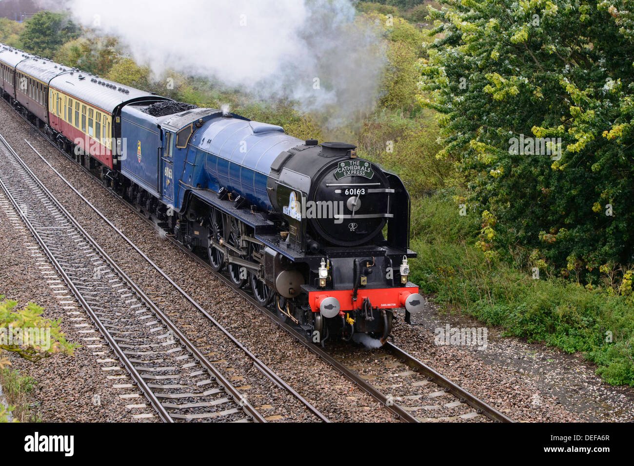 Steam locomotive 60163 Tornado schleppt der Kathedralen d-Zug vorbei Marsh Barton Exeter Devon UK. Stockfoto