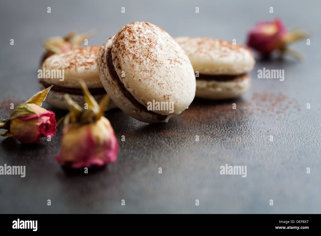 Französische Macarons mit Schoko-Füllung und Kakaopulver Stockfoto