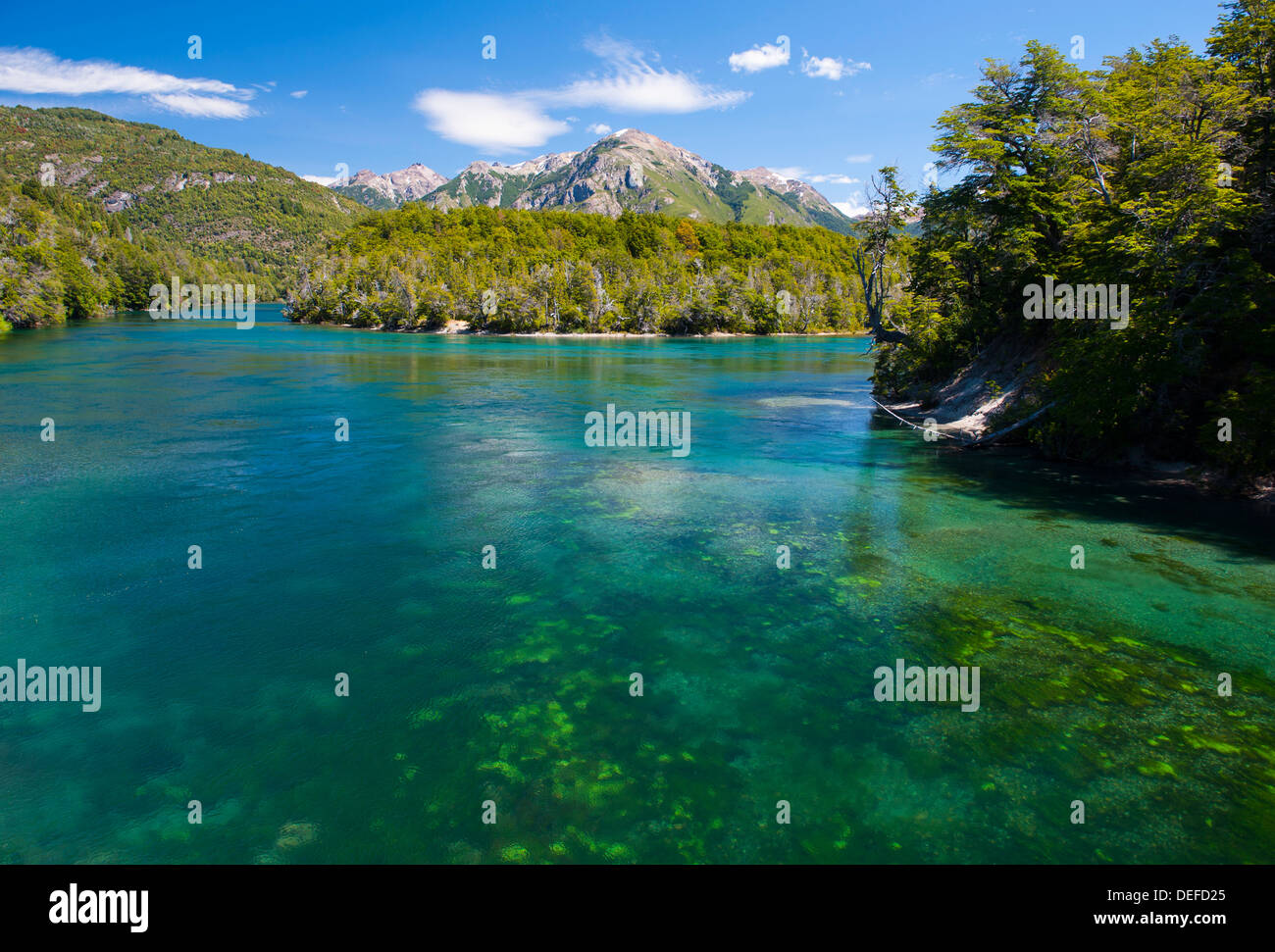 Kristallklares Wasser in den Nationalpark Los Alerces, Chubut, Patagonien, Argentinien, Südamerika Stockfoto