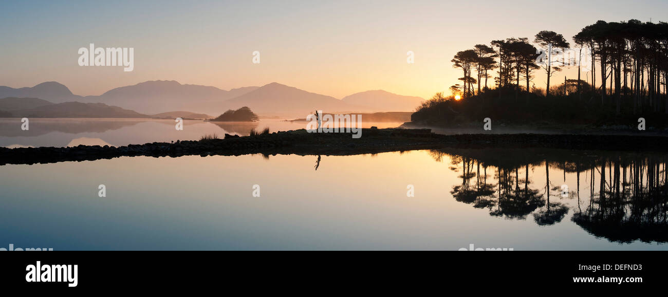 Derryclare Lough im Morgengrauen, Connemara, County Galway, Connacht, Republik Irland, Europa Stockfoto