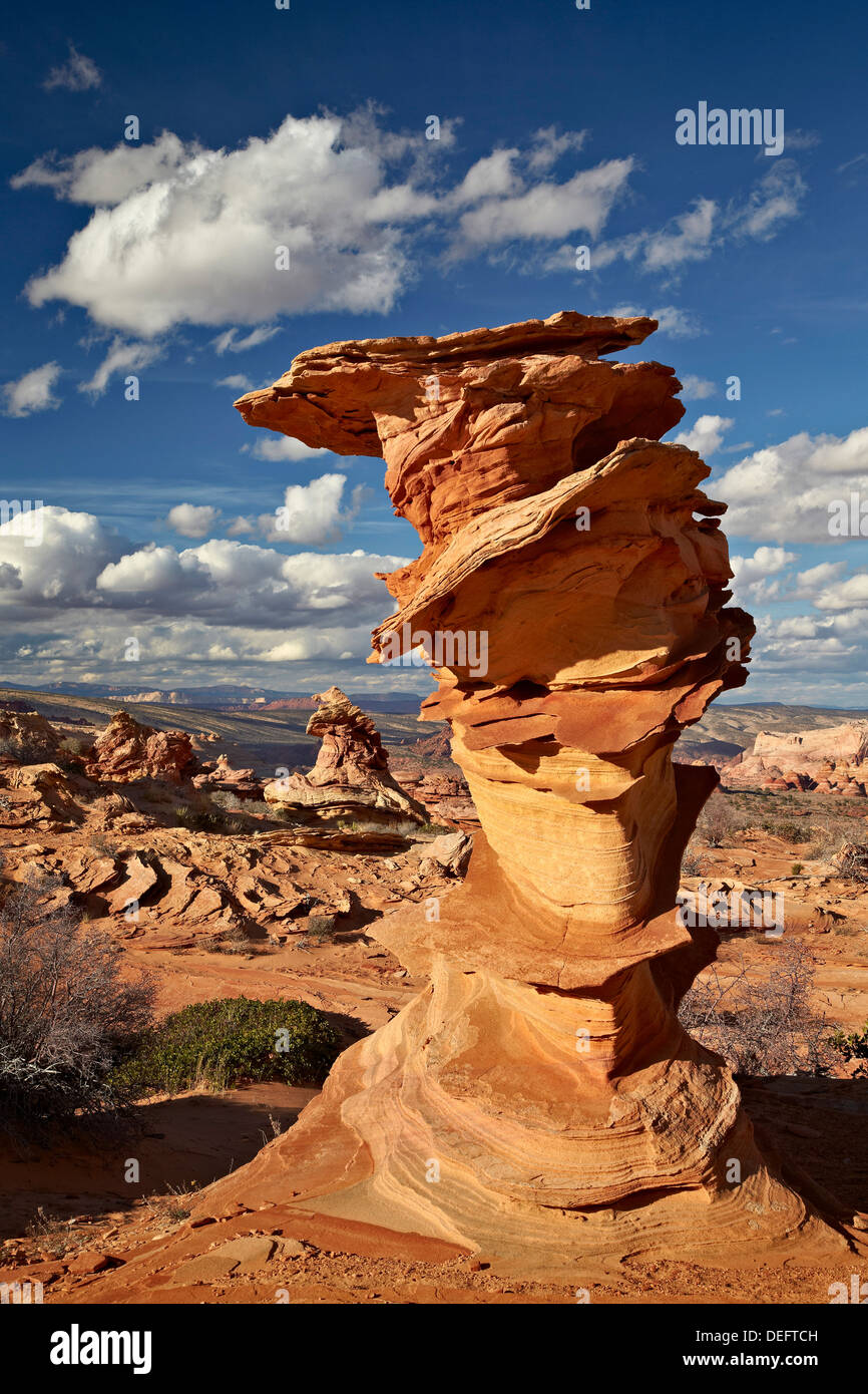 Geschichteten Sandstein Spalte unter Wolken, Coyote Buttes Wilderness, Vermillion Cliffs National Monument, Arizona, USA Stockfoto