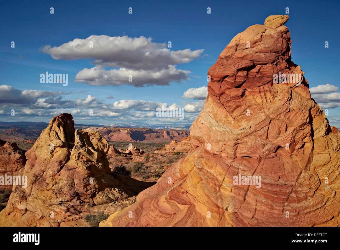 Sandstein-Formationen unter Wolken, Coyote Buttes Wilderness, Vermillion Cliffs National Monument, Arizona, USA Stockfoto