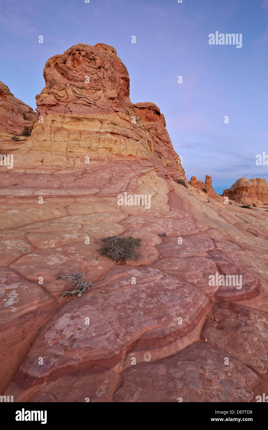 Sandsteinformation im Morgengrauen, Coyote Buttes Wilderness, Vermillion Cliffs National Monument, Arizona, Vereinigte Staaten von Amerika Stockfoto