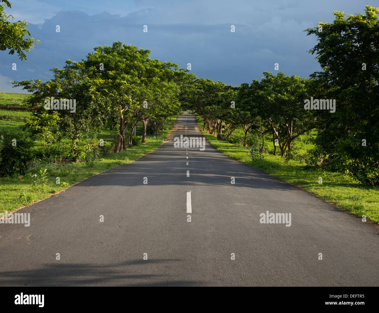 Lange gerade indische von Bäumen gesäumten Straße im Abendlicht. Andhra Pradesh, Indien. Stockfoto