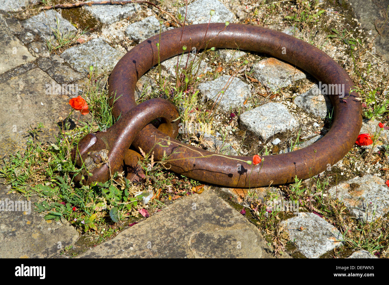 Anlegestelle Ring und Blumen, historischen Dock Gloucester, Gloucestershire, England. Stockfoto