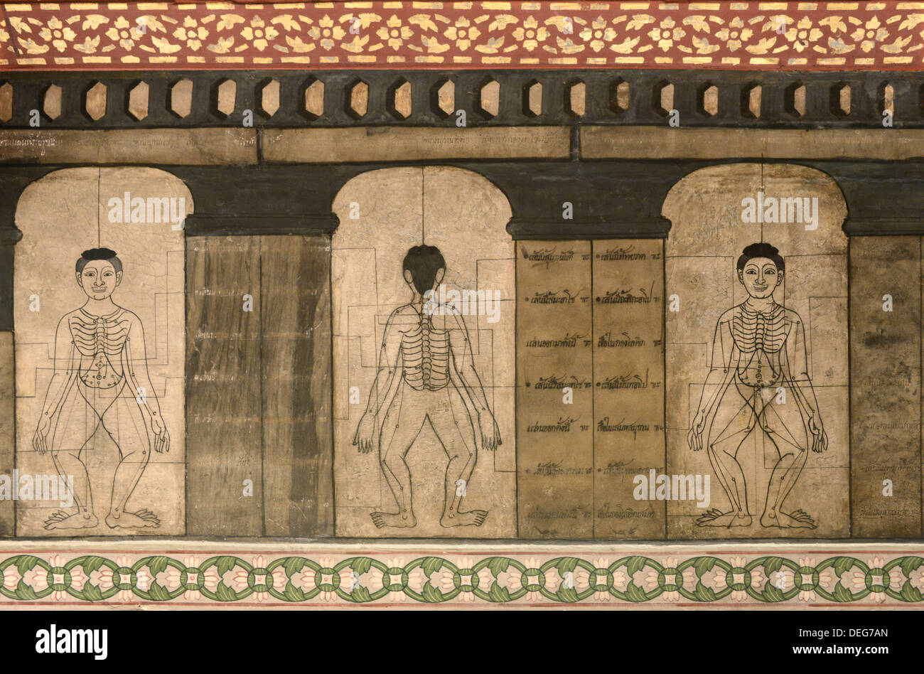Detail der Wandbilder zeigen massage Druck Punkte und Meridiane, Wat Pho (Wat Phra Chetuphon), Bangkok, Thailand Stockfoto
