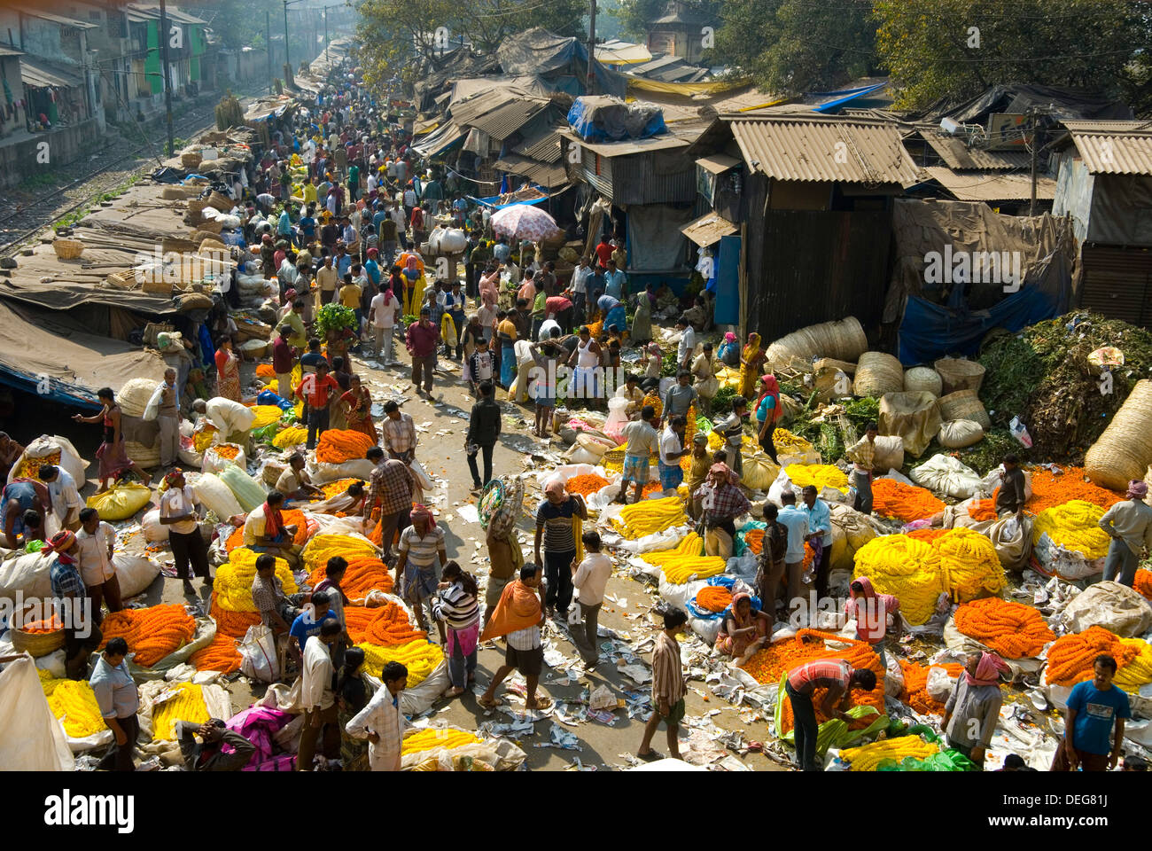 Armenien-Ghat Blumenmarkt, Kolkata (Kalkutta), West Bengalen, Indien, Asien Stockfoto