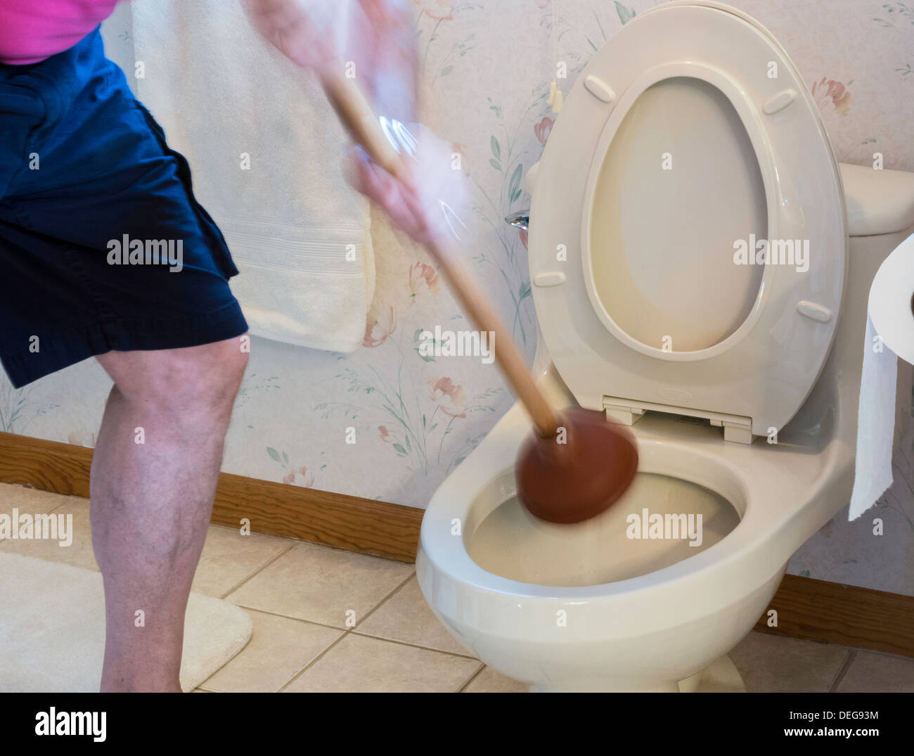 Mann mit Kolben Entstopfung Wohn Toilette, USA Stockfoto