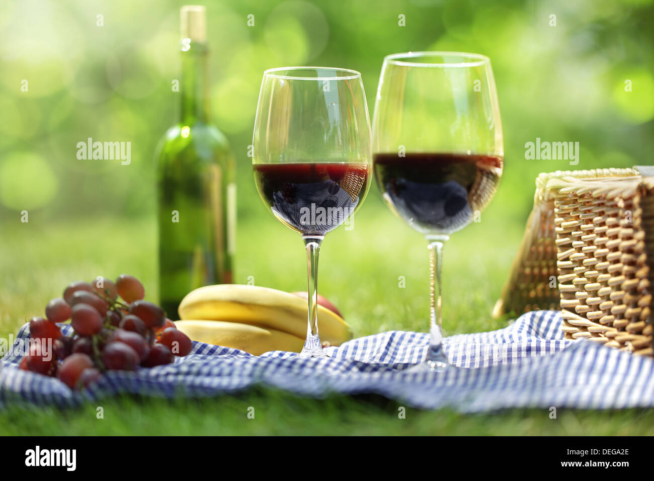Sommer-Picknick-Einstellung Stockfoto