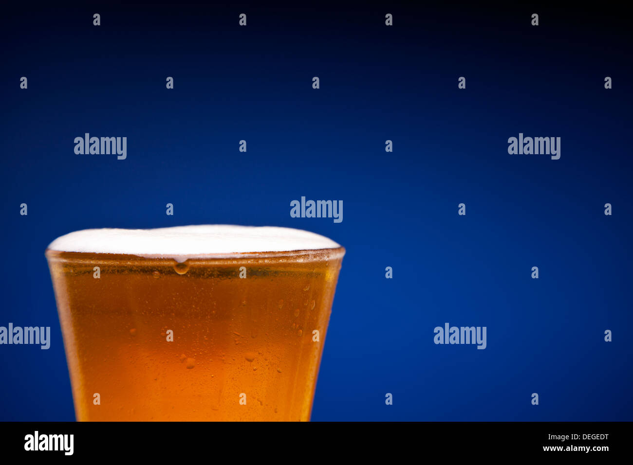 Hautnah auf einem vollen Glas Bier. Kopieren Sie Raum. Stockfoto