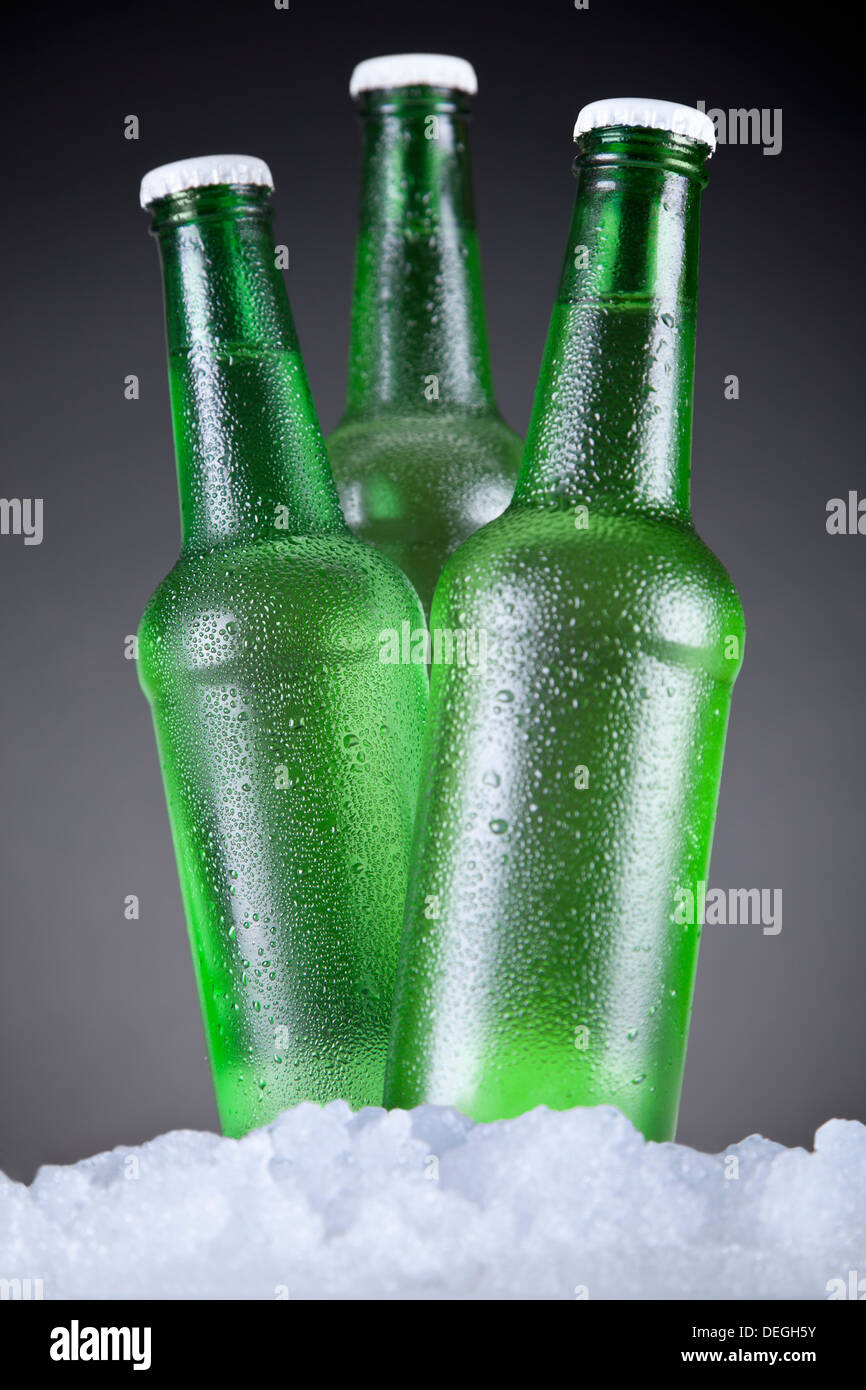 Drei grüne Bierflaschen sitzen auf Eis über einem grauen Hintergrund. Stockfoto