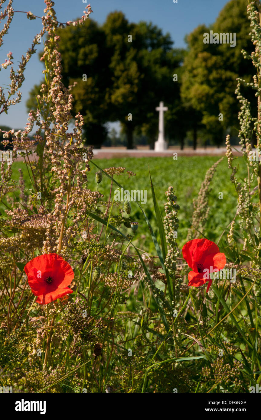 Mohnblumen im Somme Schlachtfeld mit WWI britische Kriegsgräberstätte im Hintergrund Stockfoto