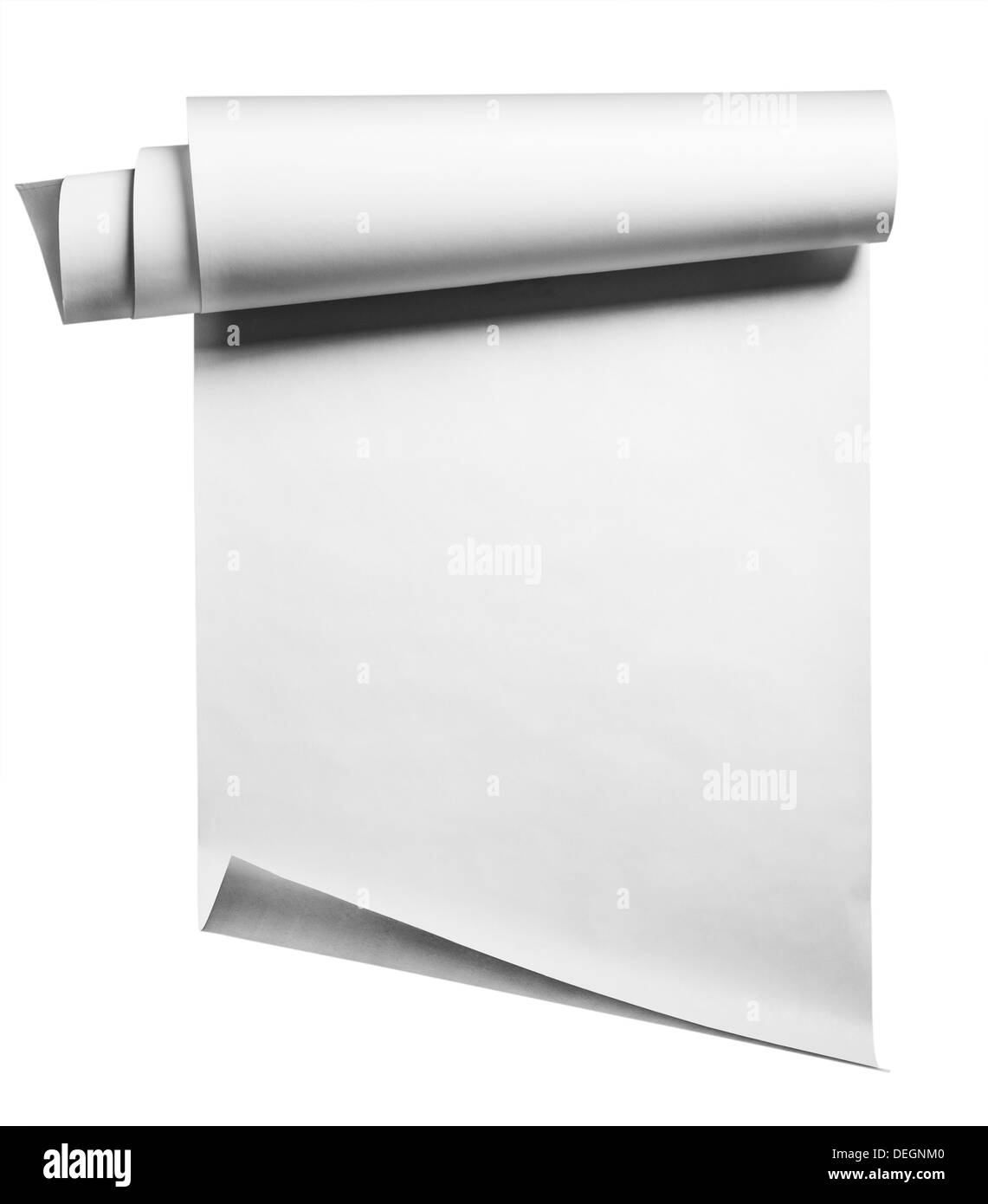 Papierrolle auf weißem Hintergrund, isoliert mit Beschneidungspfad Stockfoto