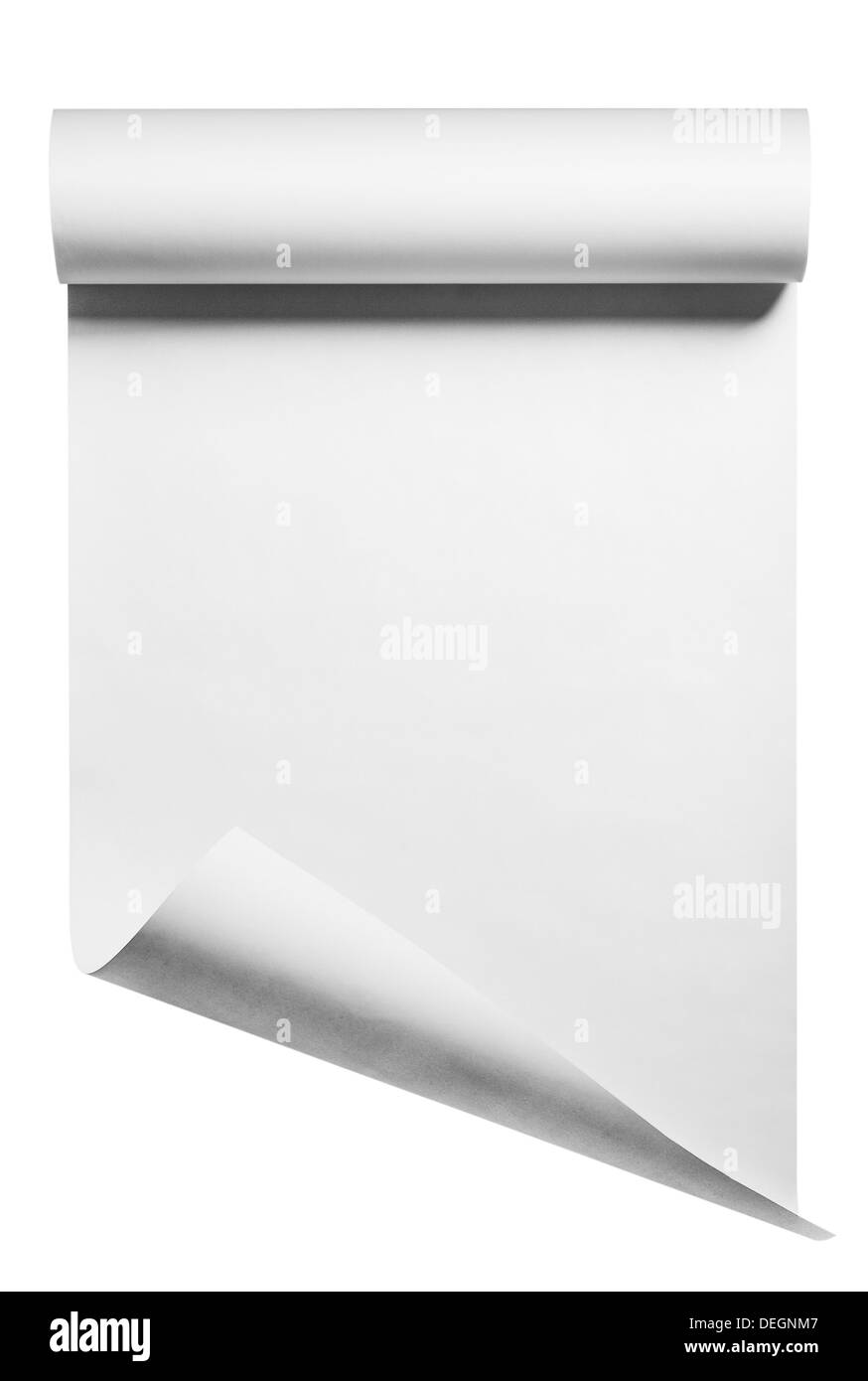 Papierrolle auf weiß, isoliert Stockfoto