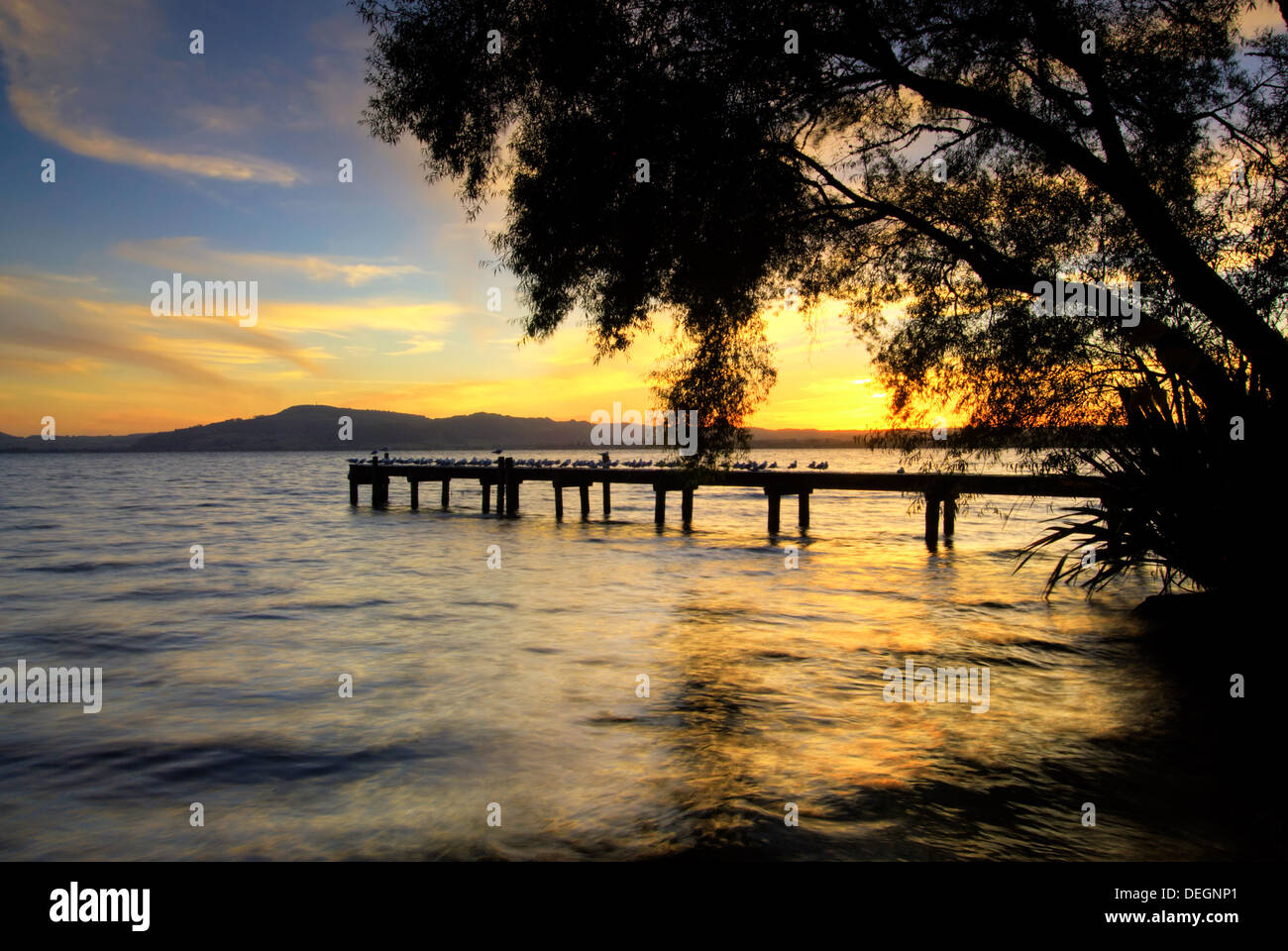 Lake Rotorua bei Sonnenuntergang von Hamurana Seite, mit Blick auf Mount Ngongotaha. Rotorua, Nordinsel, Neuseeland Stockfoto