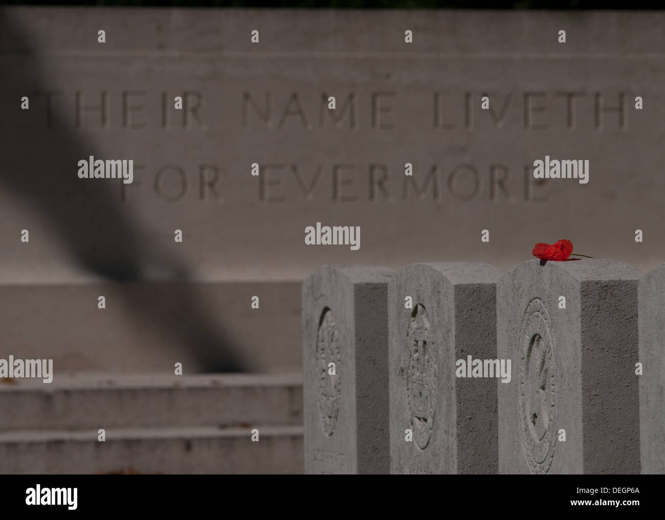 Mohnblumen auf Grabsteinen in britischen Soldatenfriedhof Sucrerie bei Colincamps, Somme, Frankreich Stockfoto