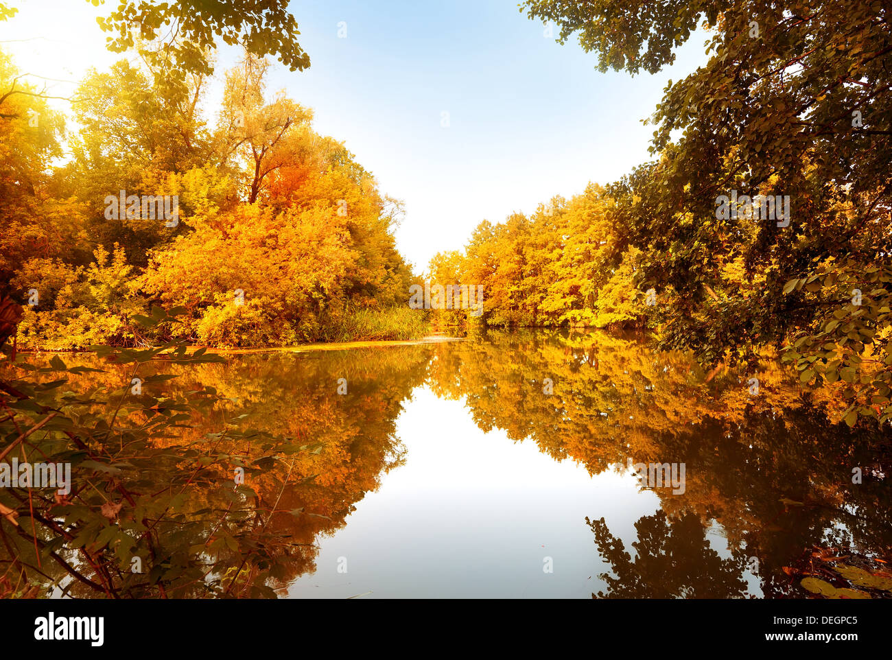 Herbstlichen Wald am Fluss in sonnigen Tag Stockfoto