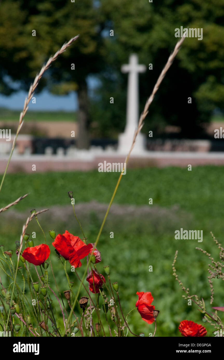 Mohnblumen im Somme Schlachtfeld mit WWI britische Kriegsgräberstätte im Hintergrund Stockfoto