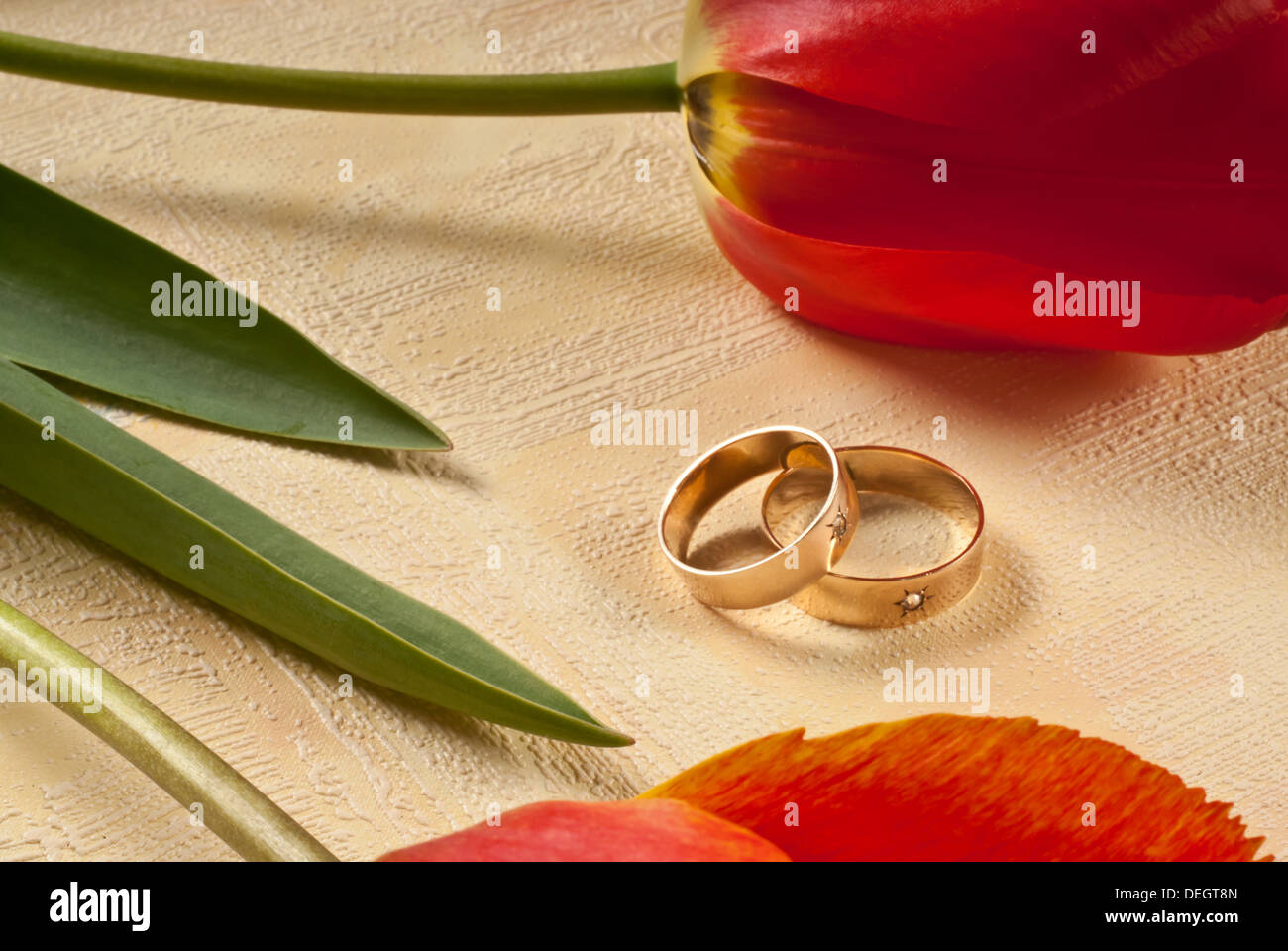 Trauringe Stockfoto
