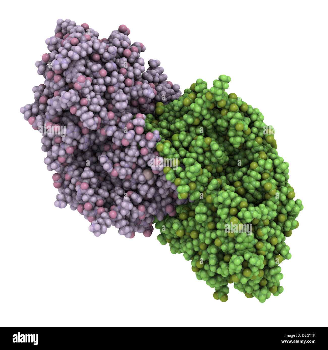 Enzym Ausgeschnittene Stockfotos und -bilder - Alamy