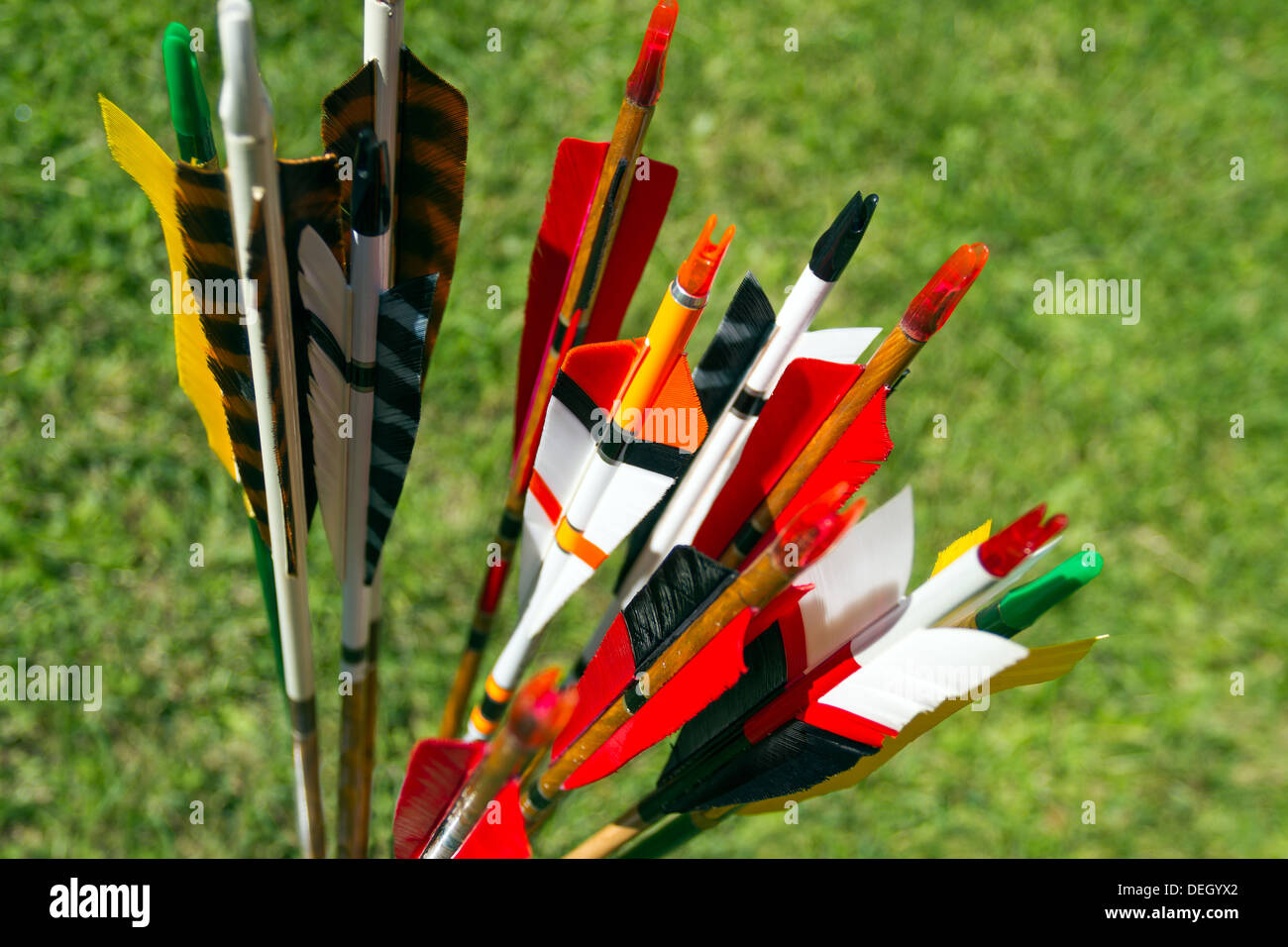 Bunte Pfeile für Bogenschießen im Feld Stockfoto