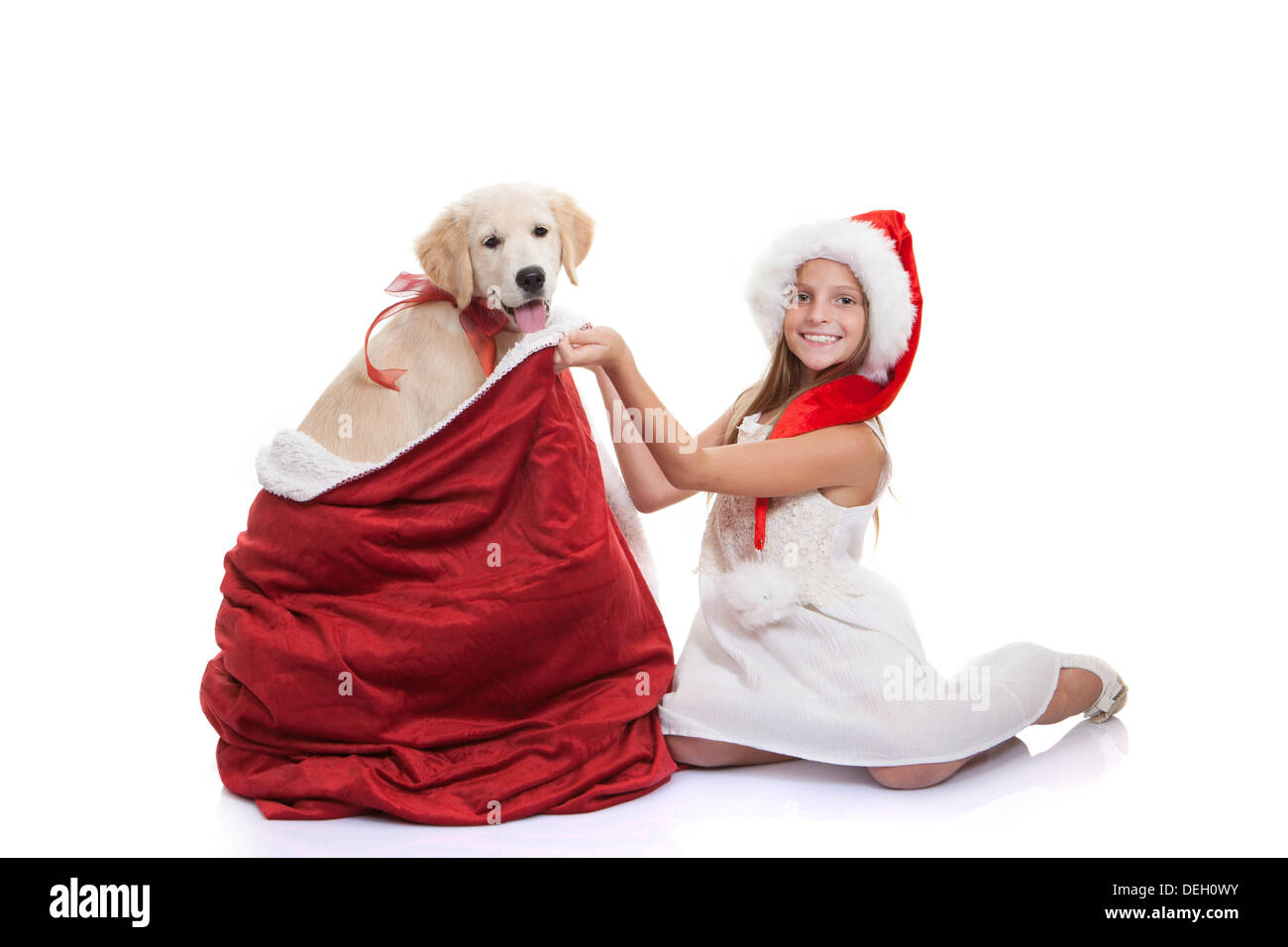 Weihnachten Urlaub Kinder Haustier Hund Geschenk Stockfoto