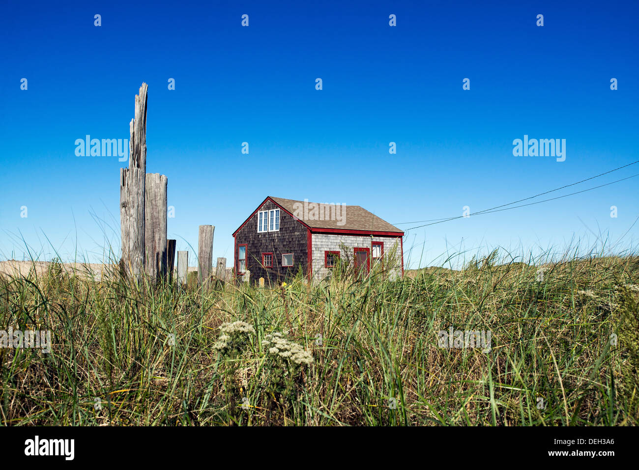 Rustikal und isolierte Solated Dune Shack, Mais Hill, Truro, Cape Cod, Massachusetts, USA Stockfoto