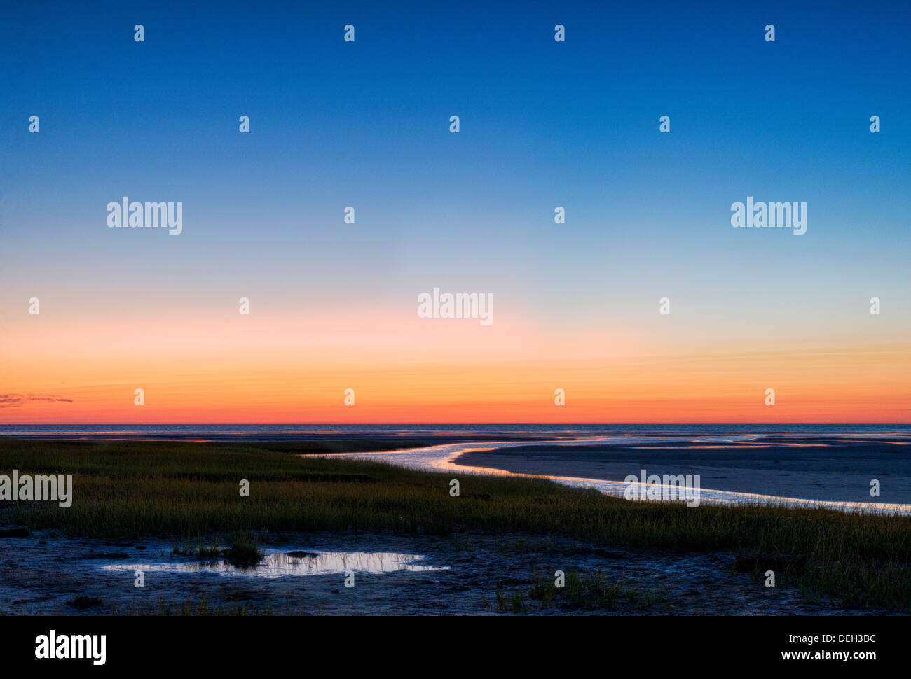 Salz-Sumpf Gezeitenbecken bei Ebbe, Boot Wiese Strand, Eastham, Cape Cod, Massachusetts, USA Stockfoto