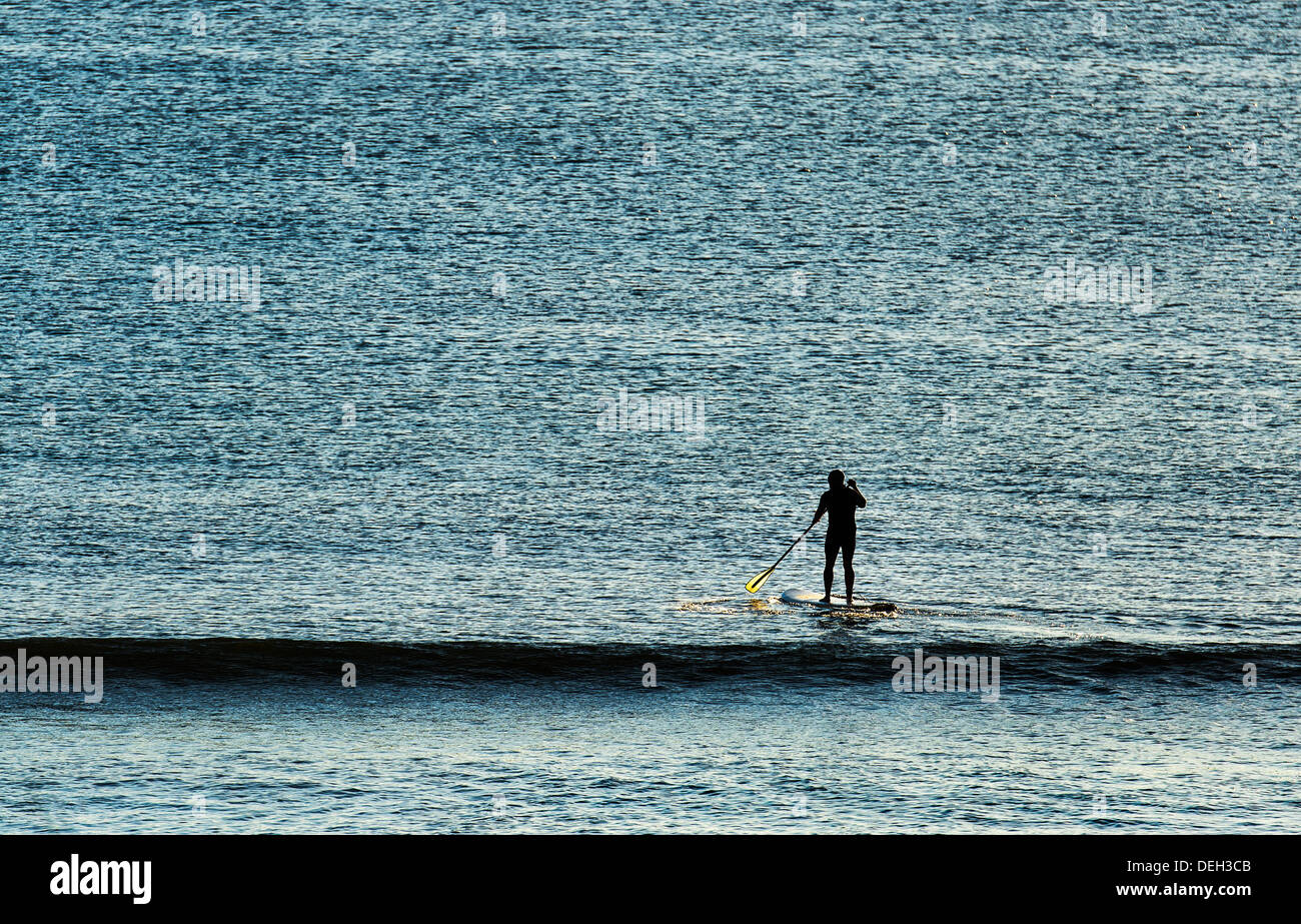 Paddle Board Surfer Köpfe, um eine Welle zu erwischen, Coast Guard Beach, Cape Cod, Massachusetts, USA Stockfoto