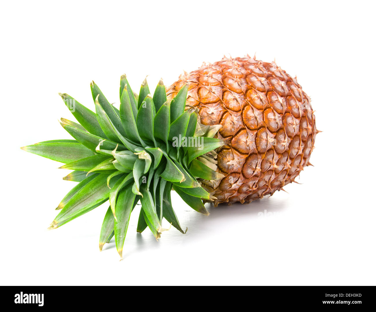 Ananas, isoliert auf weißem Hintergrund Stockfoto