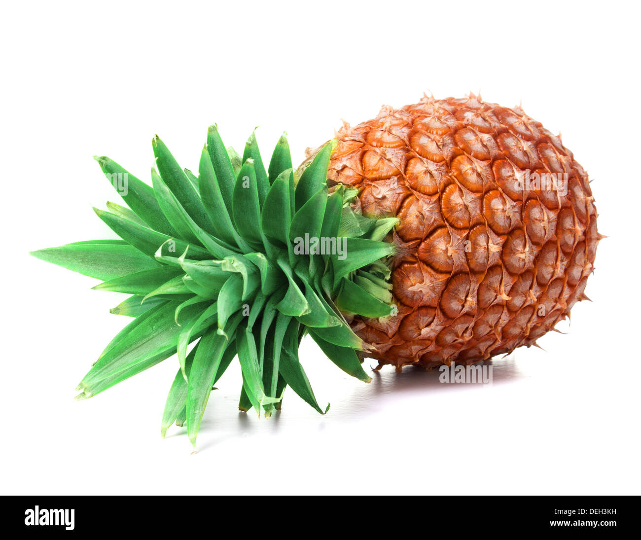 Ananas auf weißem Hintergrund. АНАНАС НА БЕЛОМ ФОНЕ Stockfoto