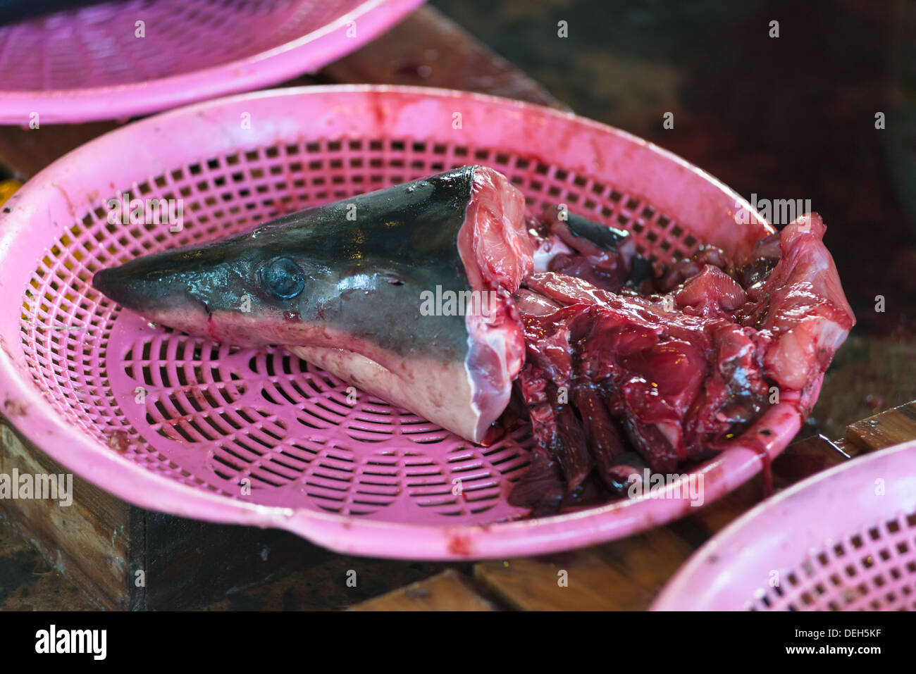 Hai Kopf zum Verkauf am Jagalchi-Fischmarkt, Busan, Südkorea Stockfoto