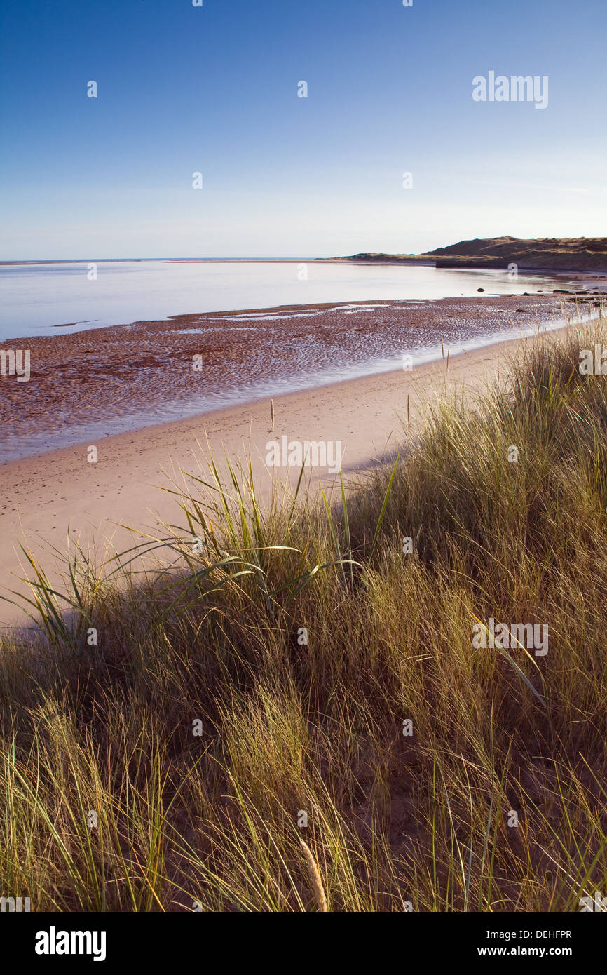 Am frühen Morgen im Budle Bay an der Northumberland Küste in der Nähe von Bamburgh. Stockfoto