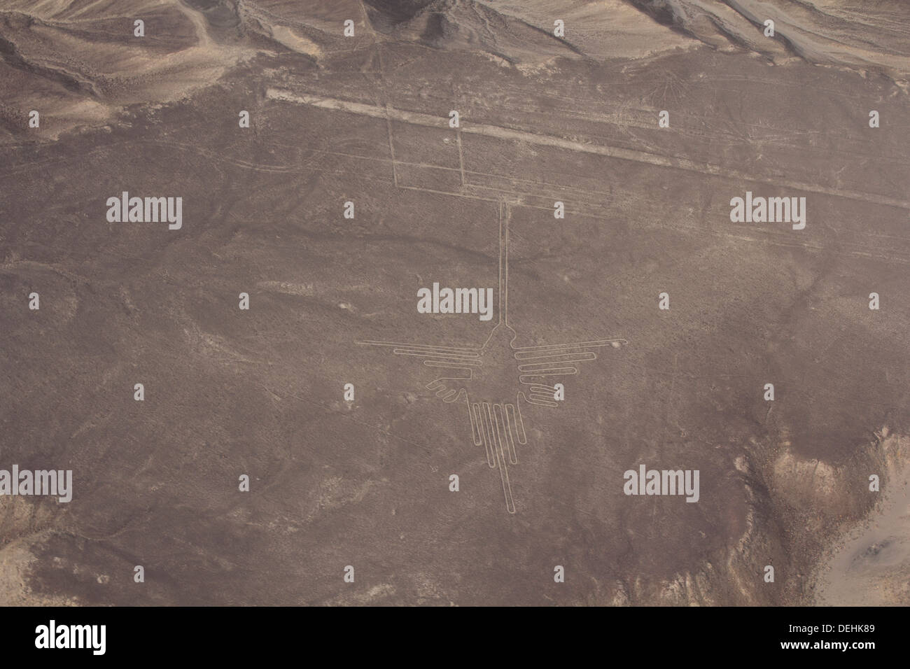 Kolibri Linien von Nasca, Peru Stockfoto