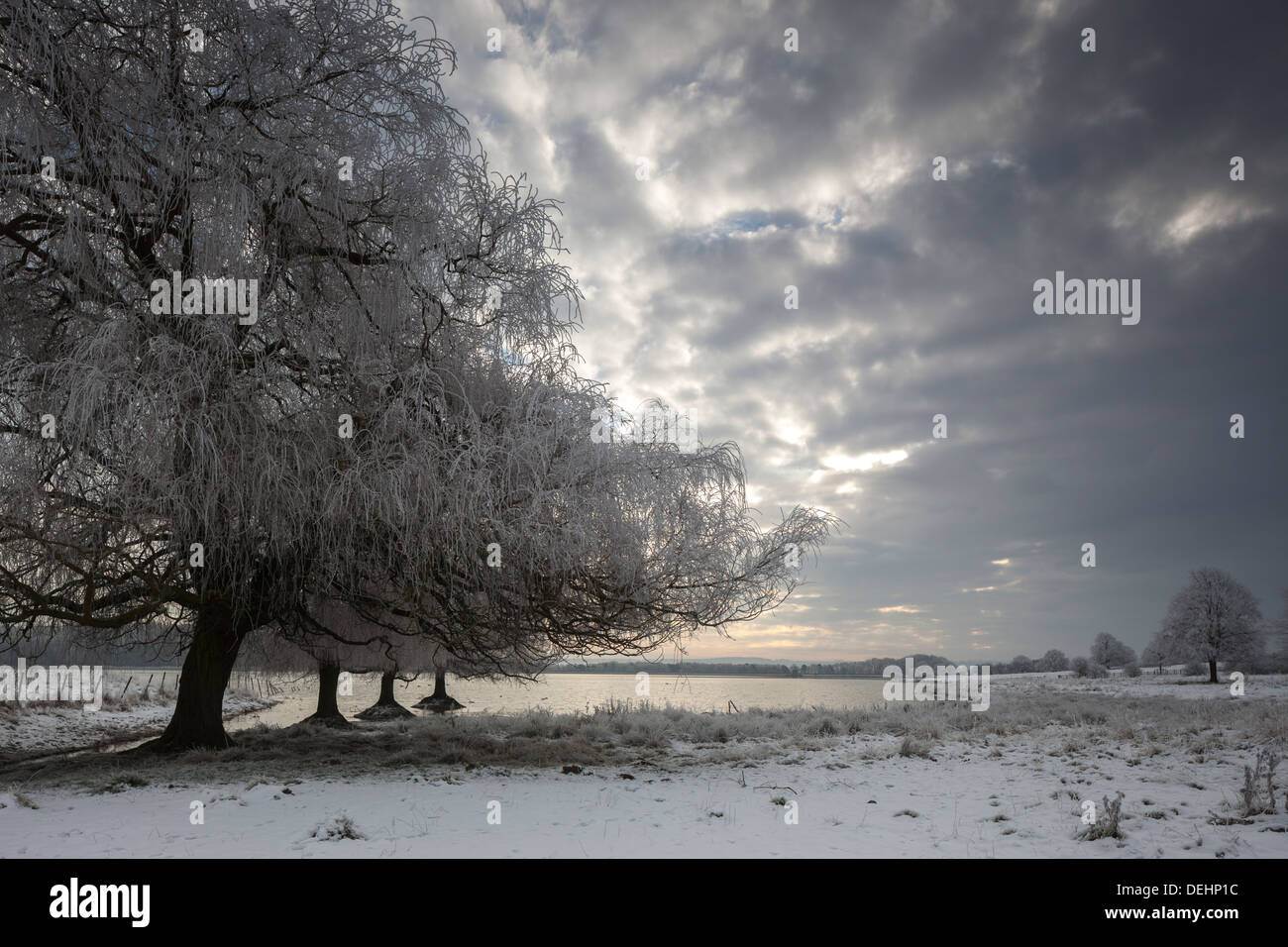 Winterhimmel und Schnee bedeckt Bäume am Eyebrook Stausee. Stockfoto