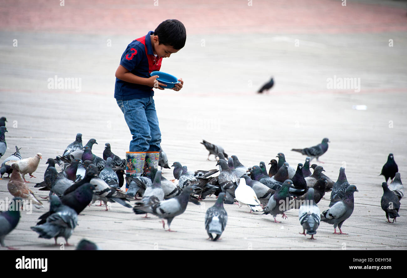 Kleiner Junge in Cowboystiefeln steht auf Platz Tauben füttern. Fusagasuga, Kolumbien, Südamerika. Stockfoto