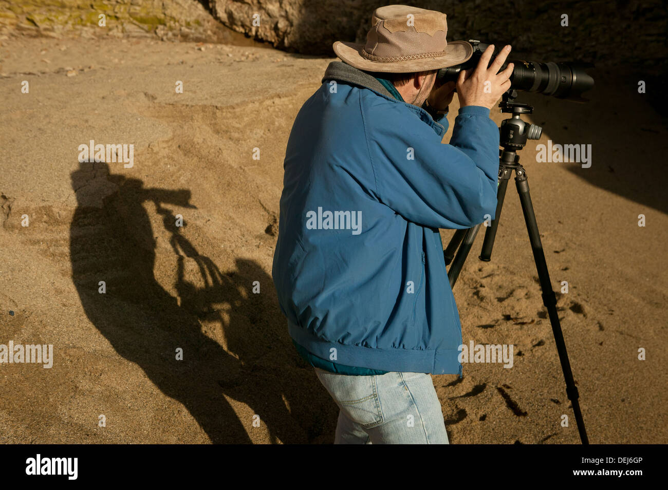 National Geographic Fotografen Frans Lanting bei der Arbeit an der Küste von Kalifornien, USA. Stockfoto