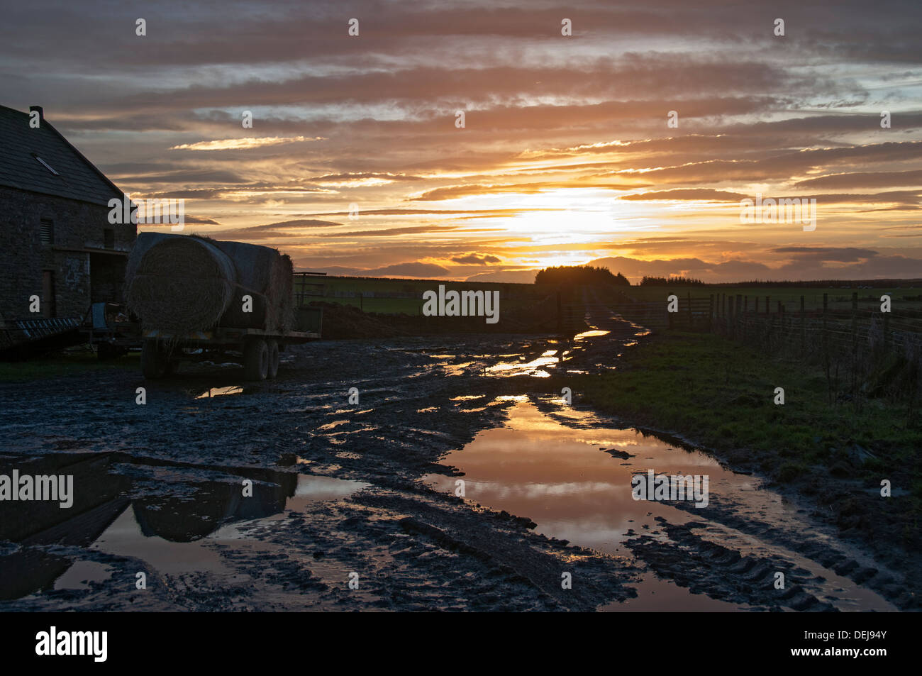 Winter-Sonnenuntergang über einem schlammigen Hof in Caithness, aufgenommen in der Nähe der Ortschaft Mey, Caithness, Schottland, UK Stockfoto