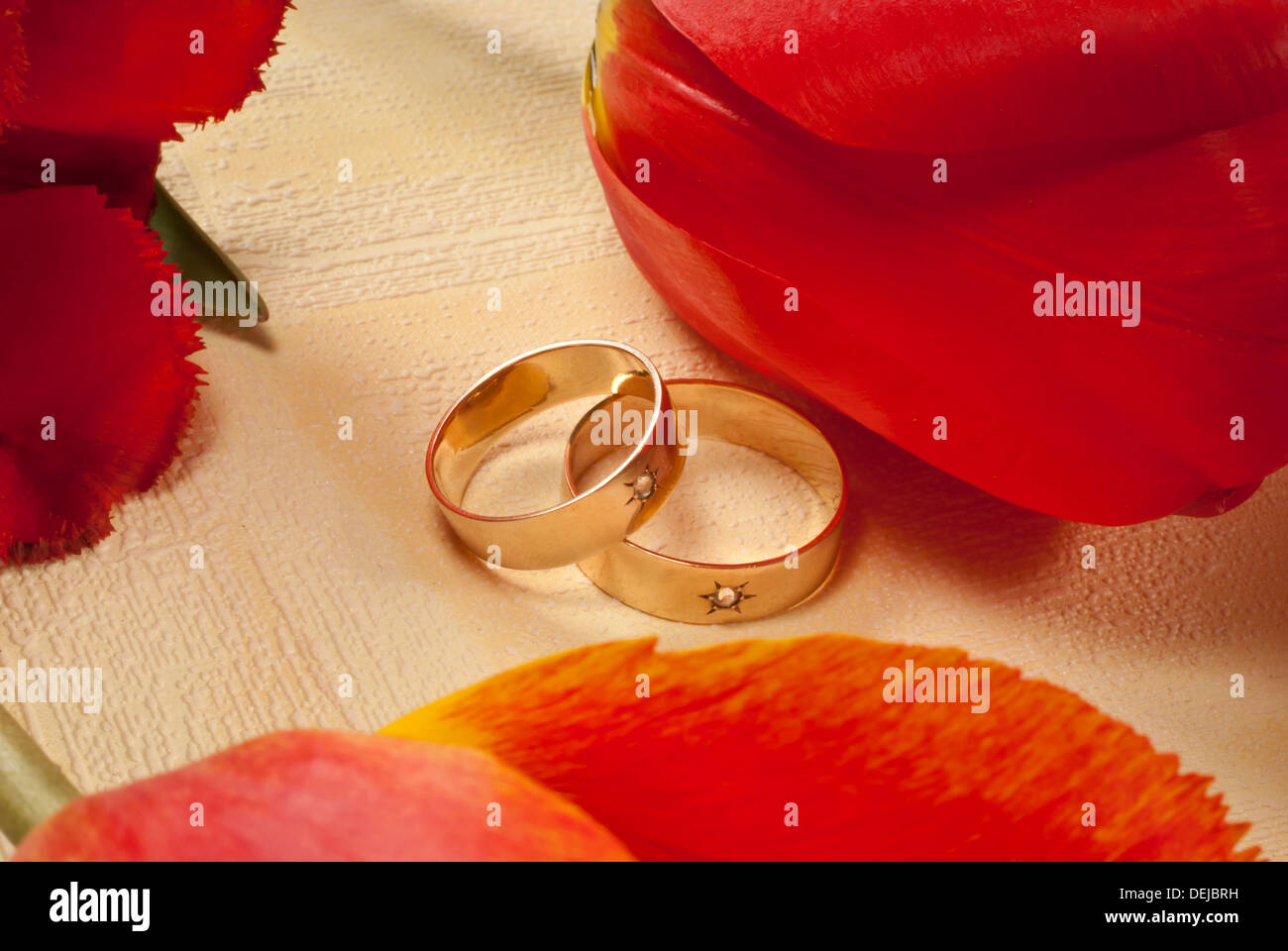 Trauringe Stockfoto