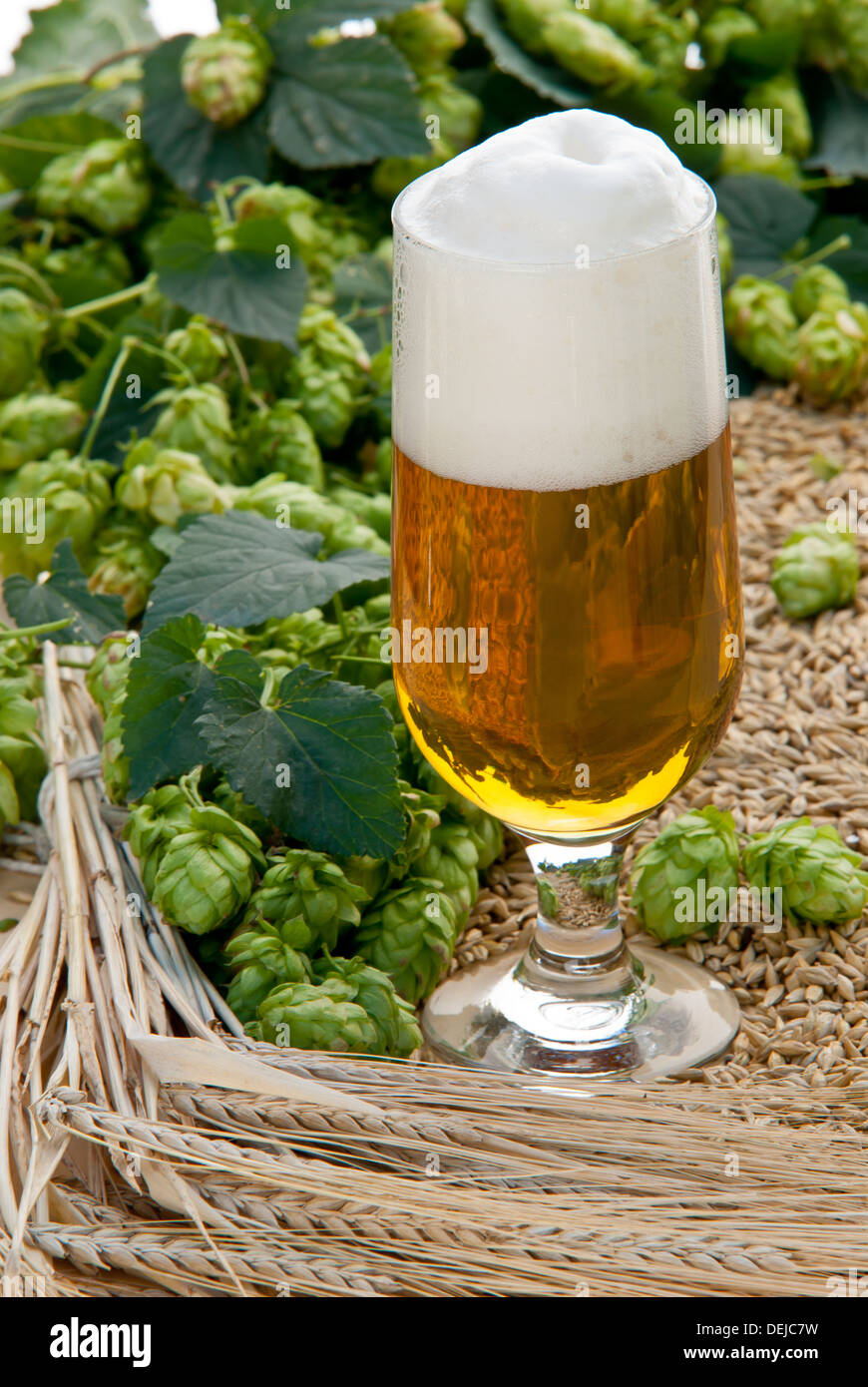 Bier Stockfoto