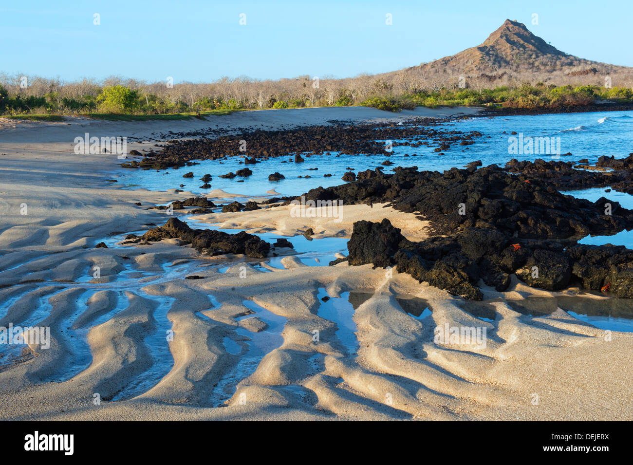 Dragon Hill, Santa Cruz Island, Galapagos, Ecuador Stockfoto