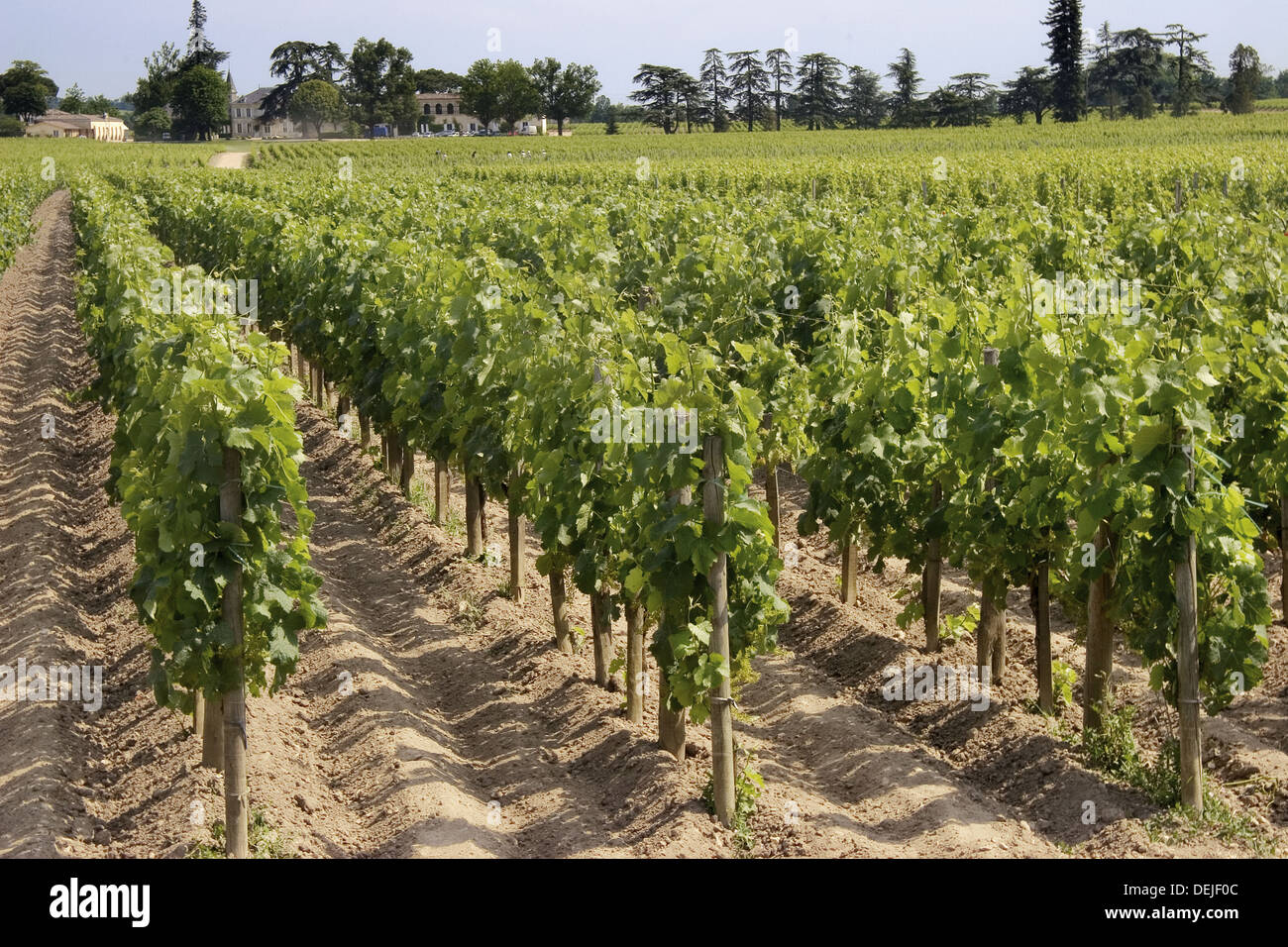 Chateau Cheval Blanc Weingut in Saint-Emilion, in der berühmten Weingebiet von Bordeaux. Gironde. Frankreich. Stockfoto